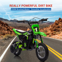 Moto elettrica fuoristrada Garvee 24V, motore 250W, verde, per bambini e adolescenti dagli 8 anni in su, sedile in pelle, sospensioni in metallo