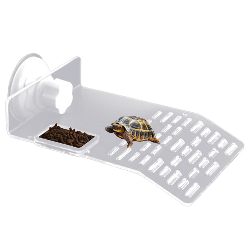 Garvee, grande piattaforma prendisole per tartarughe con 2 ventose per acquario, bianco