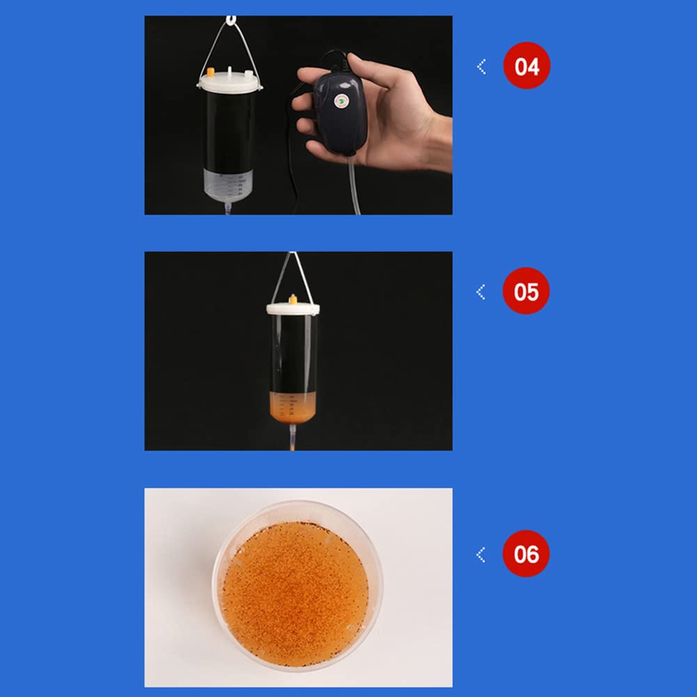 Incubatrice per uova di artemia Garvee per acquario, incubatoio fai da te per cisti di artemia in acqua salata per l'allevamento di pesci