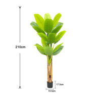 Banano artificiale Garvee con foglie grandi, corteccia naturale, vaso stabile per soggiorno e ufficio, 1,9-2,1 metri, verde