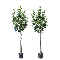 Garvee Set di 2 alberi di camelia artificiali da 150 cm, foglie e fiori realistici, facile da pulire, soggiorno e ufficio, avorio