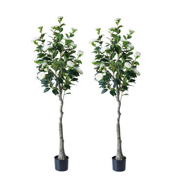 Garvee Set di 2 alberi di camelia artificiali da 150 cm, foglie e fiori realistici, facile da pulire, soggiorno e ufficio, avorio