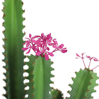 Cactus artificiale Garvee da 3 piedi, design realistico, in plastica, per uso interno ed esterno, 36 pollici, verde