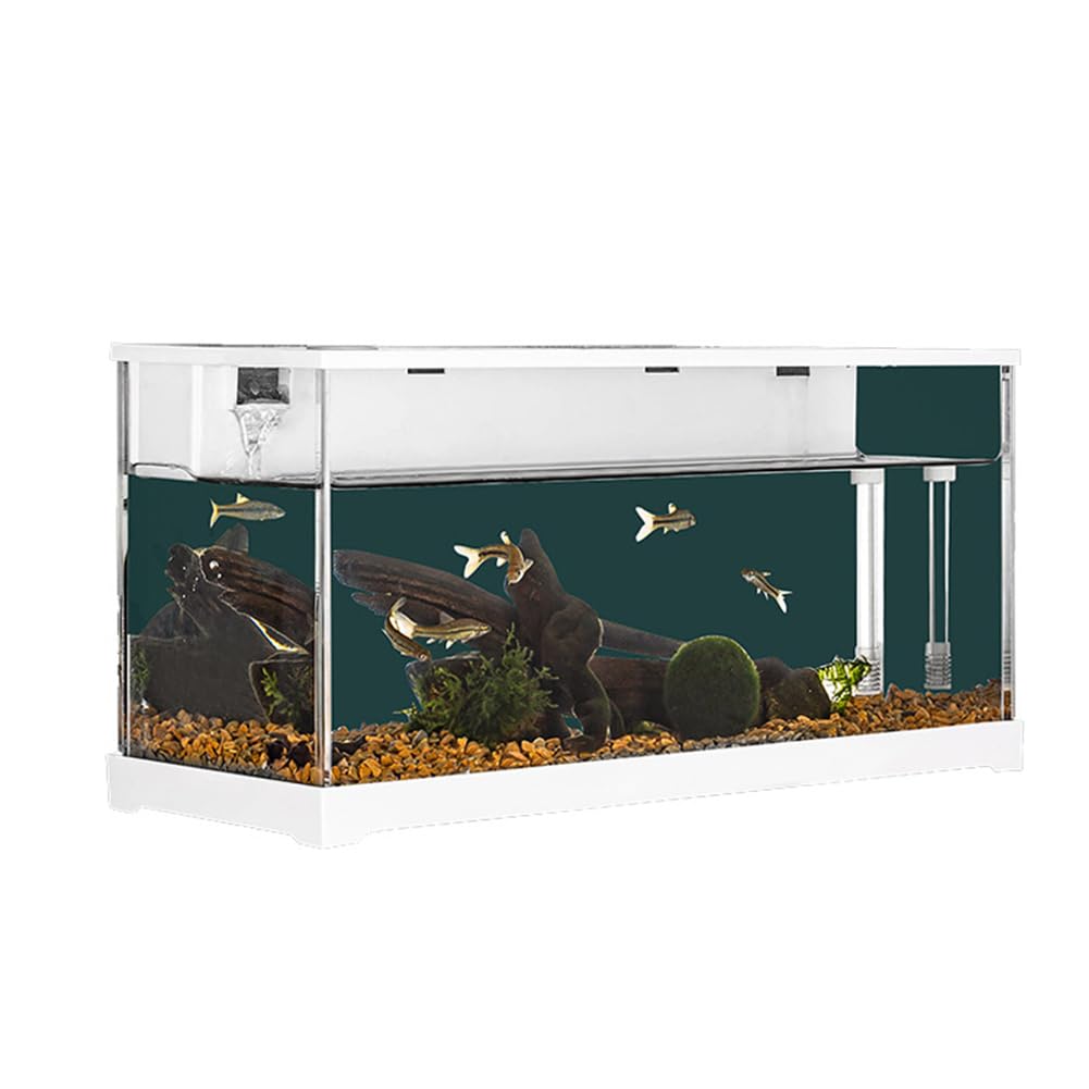 Mini acquario in acrilico Garvee per pesci rossi con illuminazione a LED, filtro integrato, pompa silenziosa, cascata ossigenante, acrilico trasparente, dimensioni compatte, trasparente