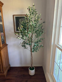 Albero di ulivo artificiale Garvee da 6 piedi con 2 tronchi di legno, vaso in cemento bianco per soggiorno e ufficio, facile da curare