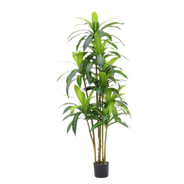 Albero artificiale in legno brasiliano Garvee da 5 piedi, bassa manutenzione, plastica, per ufficio e casa, foglie realistiche, facile da montare