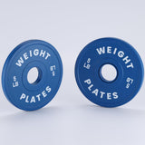Set Dischi Peso Frazionari Garvee 1,25-37,5 lb Gomma e Acciaio 2" Colore - Regalo Perfetto Festa del Papà per Palestra e Casa - Paia blu da 5 libbre