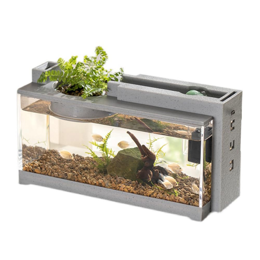 Garvee Micro Landscape Aquarium Set completo con filtro a flusso d'acqua silenzioso per la decorazione della scrivania dell'ufficio 31,5x13x16,5 cm trasparente