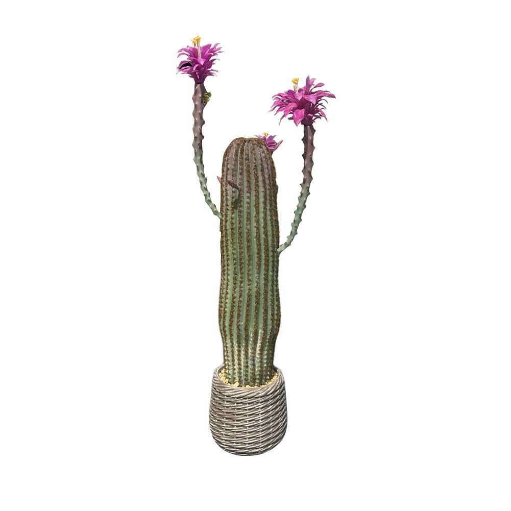 Cactus artificiale Garvee da 43 pollici, realistico, facile da pulire, in materiale PE, vaso bianco per casa e ufficio