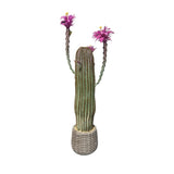 Cactus artificiale Garvee da 43 pollici, realistico, facile da pulire, in materiale PE, vaso bianco per casa e ufficio - verde