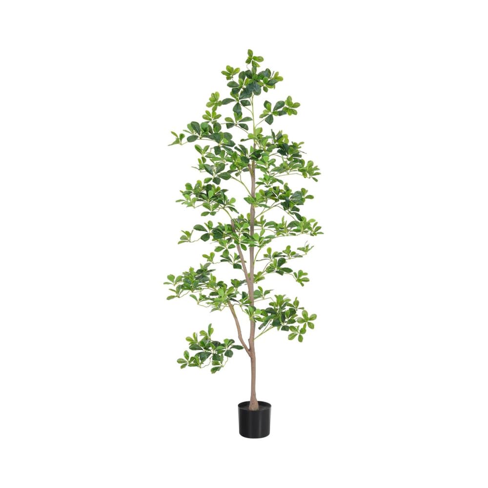 Albero di Schefflera Garvee artificiale da 180 cm con foglie realistiche e tronco naturale, facile da pulire, vaso di plastica nero per arredamento interno, soggiorno e ufficio