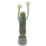 Cactus artificiale Garvee da 43 pollici, realistico, facile da pulire, in materiale PE, vaso bianco, ufficio, casa, verde - 