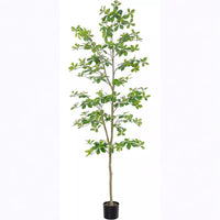 Albero di Schefflera artificiale Garvee da 210 cm con tronco naturale, foglie realistiche, facile da curare, vaso di plastica nero per ufficio e casa