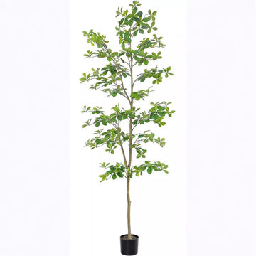 Albero di Schefflera artificiale Garvee da 210 cm con tronco naturale, foglie realistiche, facile da curare, vaso di plastica nero per ufficio e casa