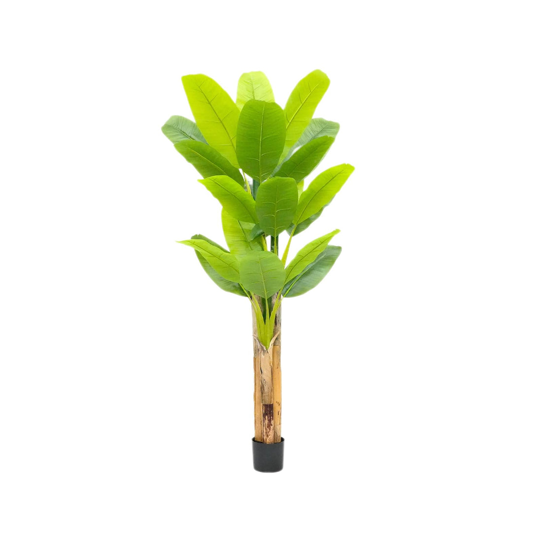 Pianta di banana artificiale Garvee da 6,2 piedi con foglie in PEVA e rami regolabili per decorazioni per la casa e l'ufficio, vaso di plastica, facile da pulire, verde