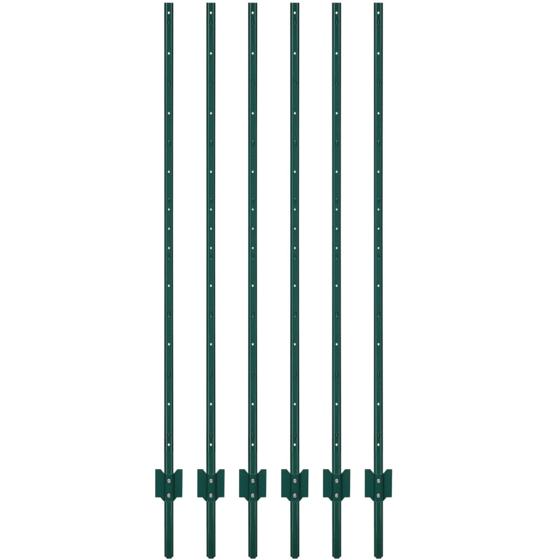PPG_336A9TFW