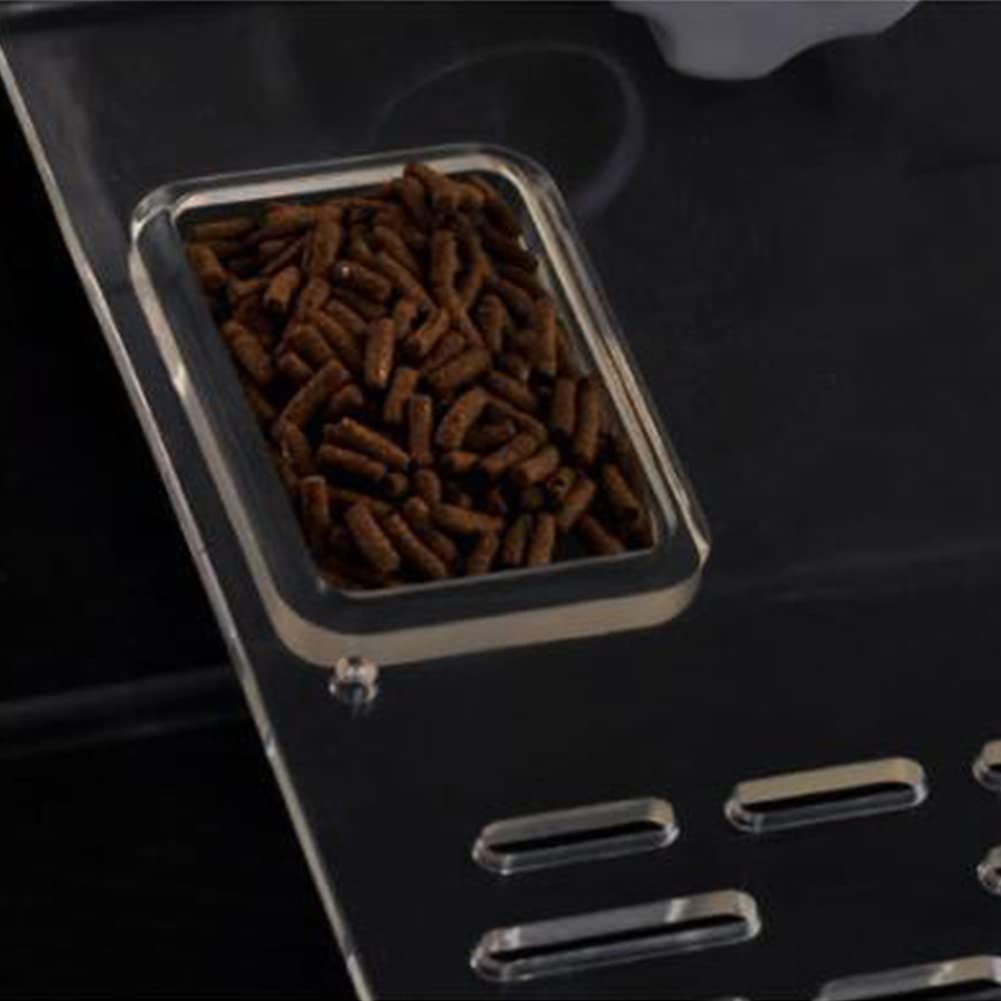 Garvee, grande piattaforma prendisole per tartarughe con 2 ventose per acquario, bianco