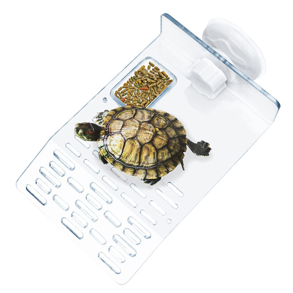 Garvee, grande piattaforma prendisole per tartarughe con 2 ventose per acquario, bianco