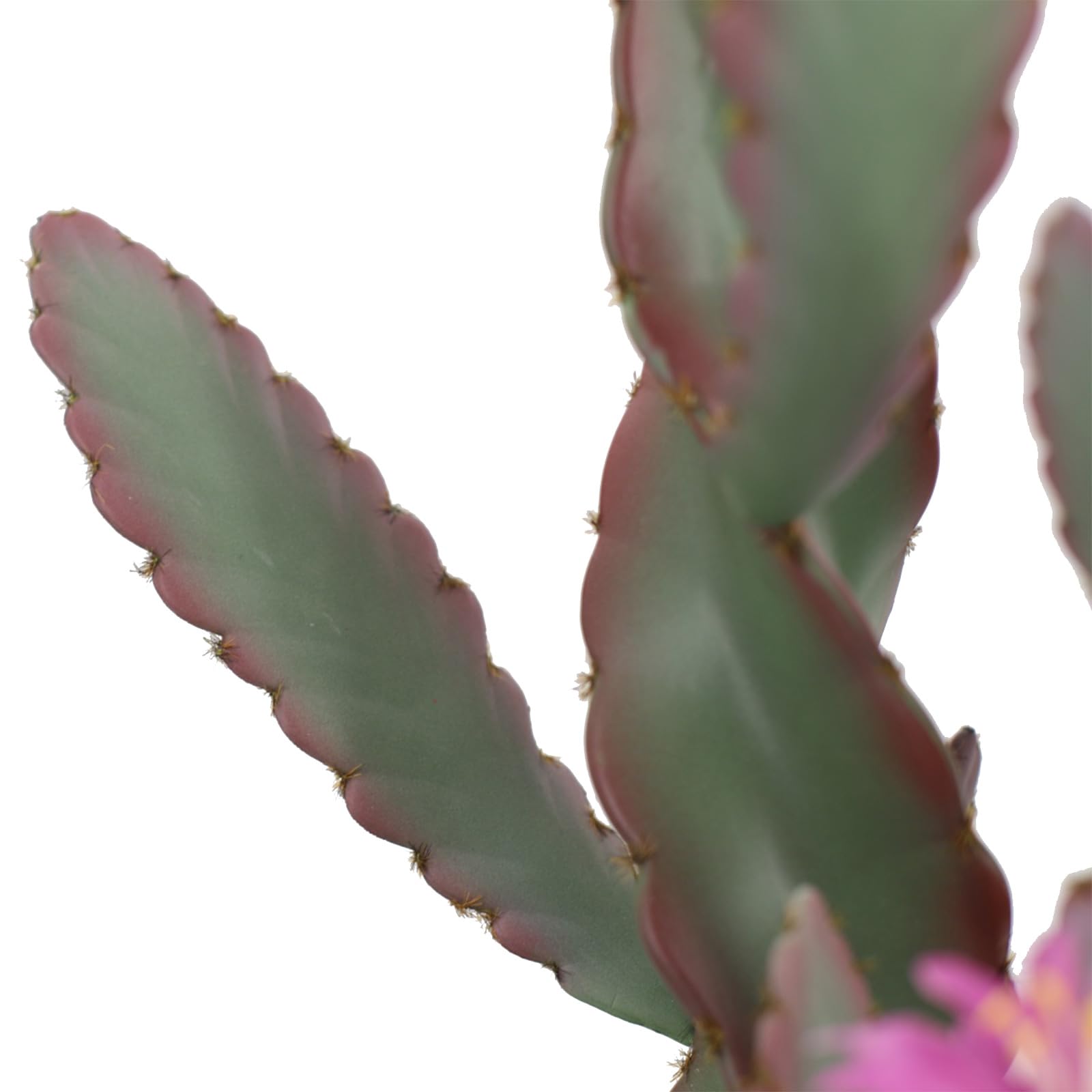 Cactus artificiale Garvee da 36 pollici, realistico e facile da curare, per casa e ufficio, grande, verde