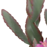 Cactus artificiale Garvee da 36 pollici, realistico e facile da curare, per casa e ufficio, grande, verde