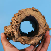 Grotta decorativa per acquario Garvee, grotta naturale per la deposizione delle uova, realizzata in tronco d'albero, per lucertole, tartarughe e gamberetti