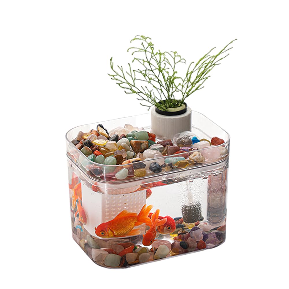 Garvee Acquario piccolo trasparente con pompa ad aria USB, scatola di riproduzione, acquario ecologico per soggiorno, ufficio domestico, decorazione da scrivania, 16 x 12 cm, trasparente