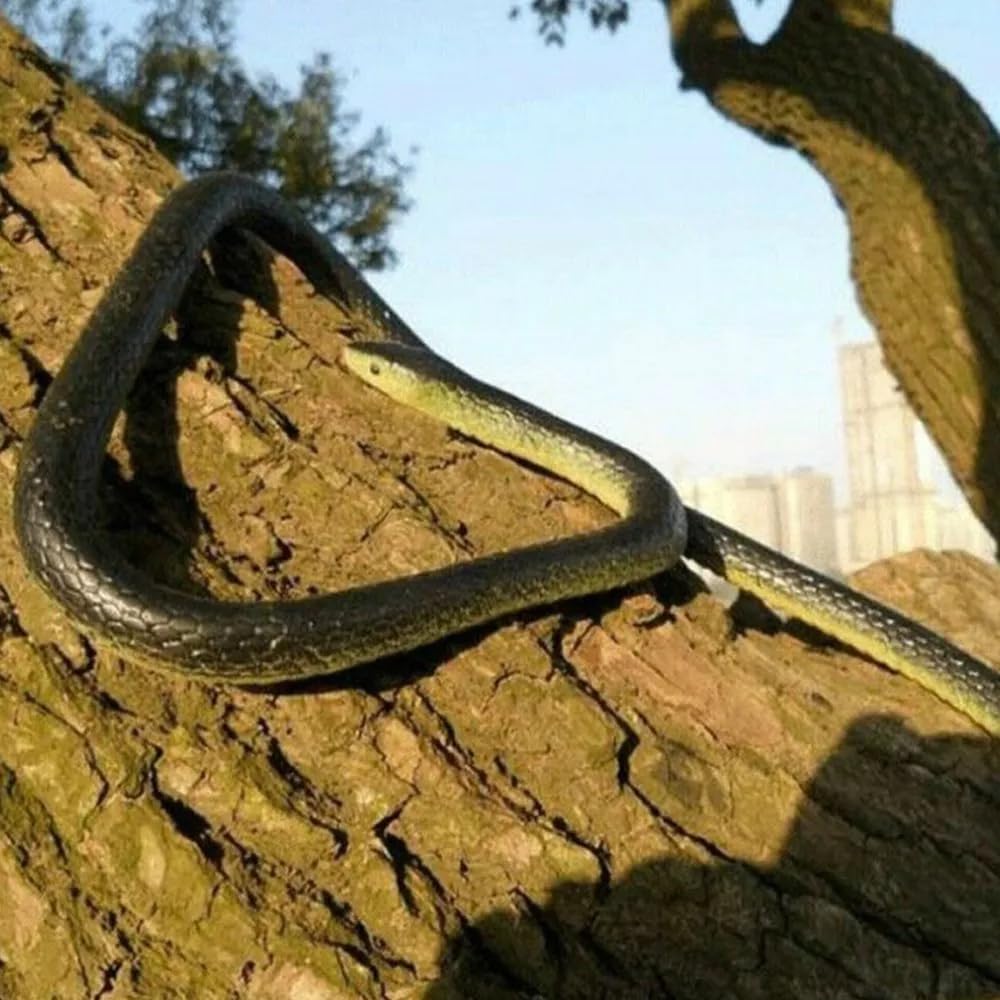 Garvee Realistico Serpente in Gomma Giocattolo 132 cm Gomma Morbida per Protezione Giardino Halloween e Feste Nero Giallo