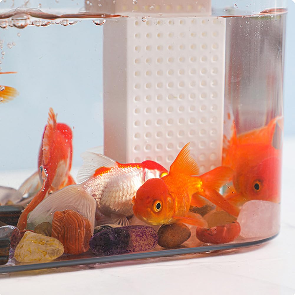 Garvee Acquario piccolo trasparente con pompa ad aria USB, scatola di riproduzione, acquario ecologico per soggiorno, ufficio domestico, decorazione da scrivania, 16 x 12 cm, trasparente