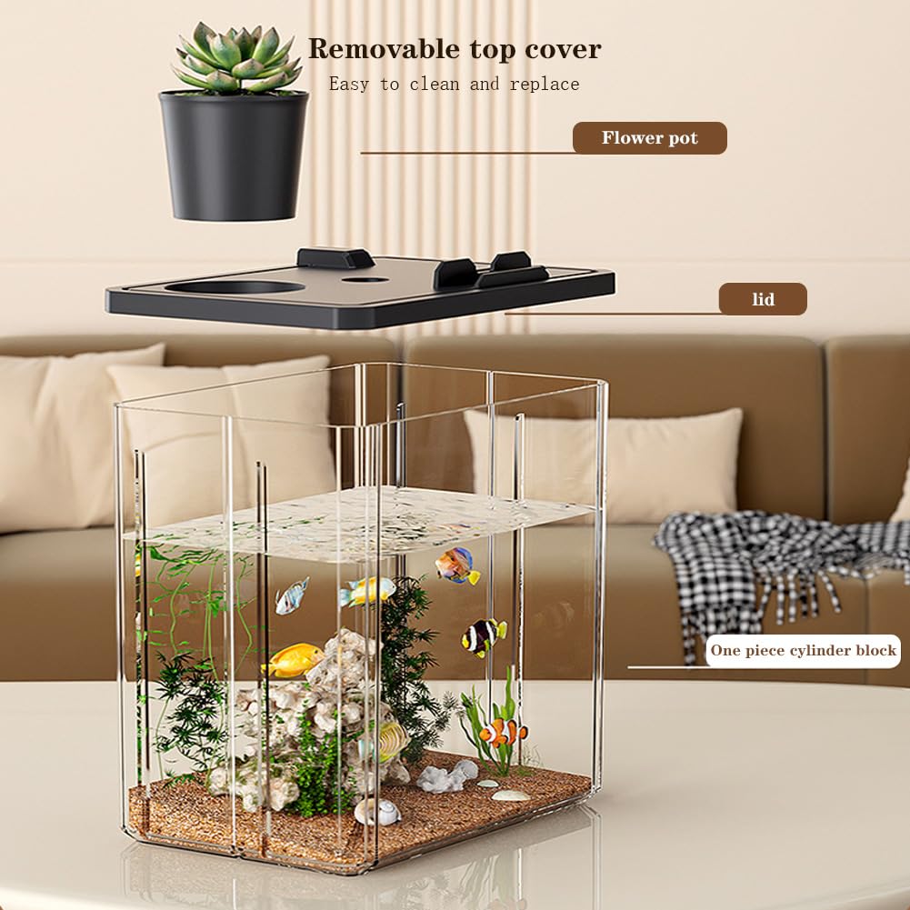 Kit di avviamento per mini acquario Garvee in acrilico con pompa e luce LED, trasparente, per gamberetti e piccoli pesci, decorazione da tavolo