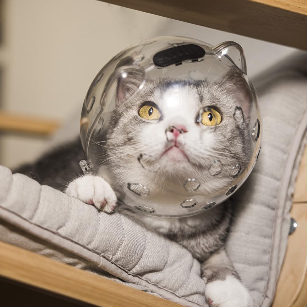 Casco trasparente per gatti GARVEE con funzione protettiva, traspirante, in materiale PET leggero per il recupero e la cura, trasparente, confortevole