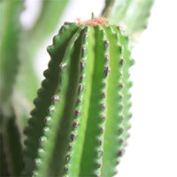 Cactus artificiale Garvee da 32 pollici con texture realistica, materiale PE resistente per ufficio e casa, verde