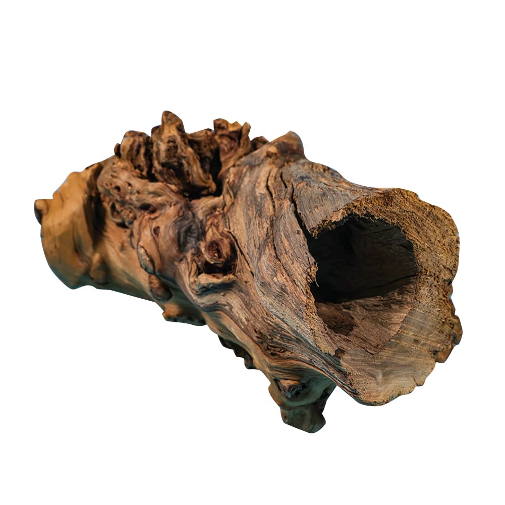 Grotta decorativa per acquario Garvee, grotta naturale per la deposizione delle uova, realizzata in tronco d'albero, per lucertole, tartarughe e gamberetti