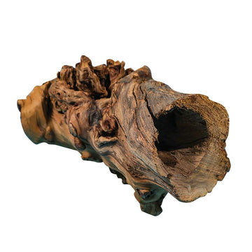 Grotta decorativa per acquario Garvee, grotta naturale per la deposizione delle uova, realizzata in tronco d'albero, per lucertole, tartarughe e gamberetti