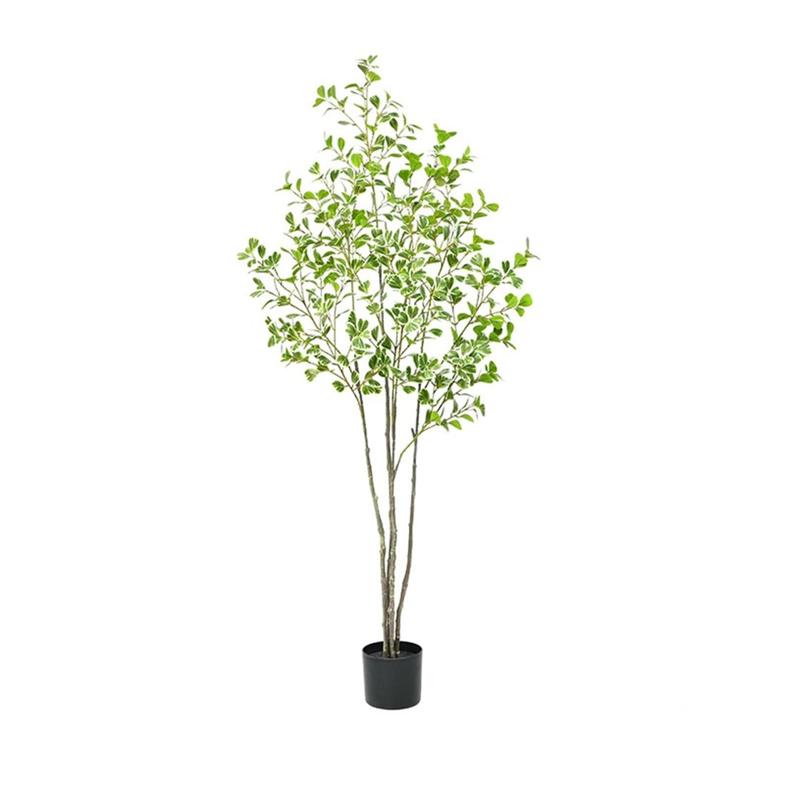 Albero di ficus artificiale Garvee da 6 piedi con foglie realistiche per ufficio e soggiorno, resistente, facile da curare, verde