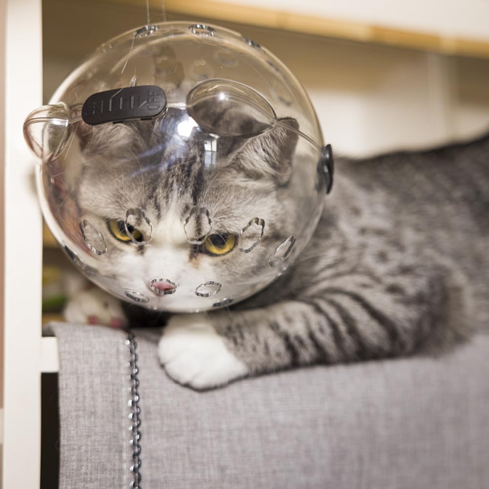 Casco trasparente per gatti GARVEE con funzione protettiva, traspirante, in materiale PET leggero per il recupero e la cura, trasparente, confortevole