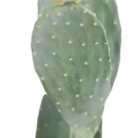 Cactus artificiale Garvee da 42" in materiale EVA, facile da pulire, durevole, vaso in PP stabile per uso interno ed esterno, realistico, nero