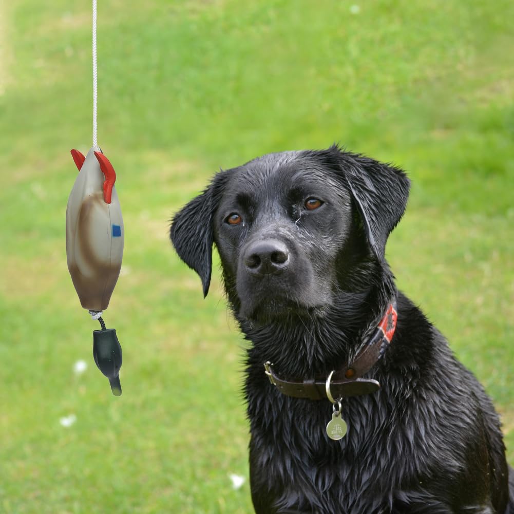 Giocattolo per l'addestramento del cane Garvee, finta anatra realistica, robusto e morbido, in materiale per cuccioli e cani da caccia, per l'addestramento all'aperto