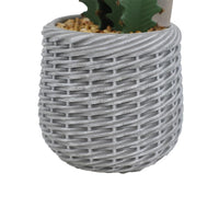 Cactus artificiale Garvee da 3 piedi, design realistico, in plastica, per uso interno ed esterno, 36 pollici, verde