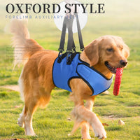 Garvee Harnais Respirant Réglable Pour Chien - Soutien Membres Avant, Sangle Ajustable, Tissu Oxford Robuste, Double Protection, Bleu M, Rééducation & Promenades
