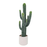 Falso Cactus Alto Realistico Verde in Materiale EVA per Decorazione Interni Casa Ufficio Bassa Manutenzione