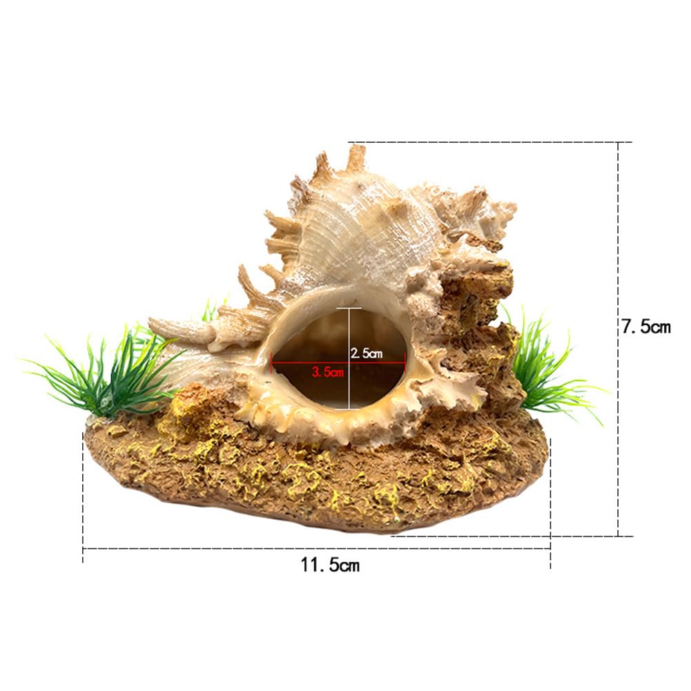Garvee Decorazione a forma di conchiglia per acquario bianca rotonda – Decorazione realistica in resina per acquario e terrario – Rifugio sicuro per pesci, gamberetti e paguri
