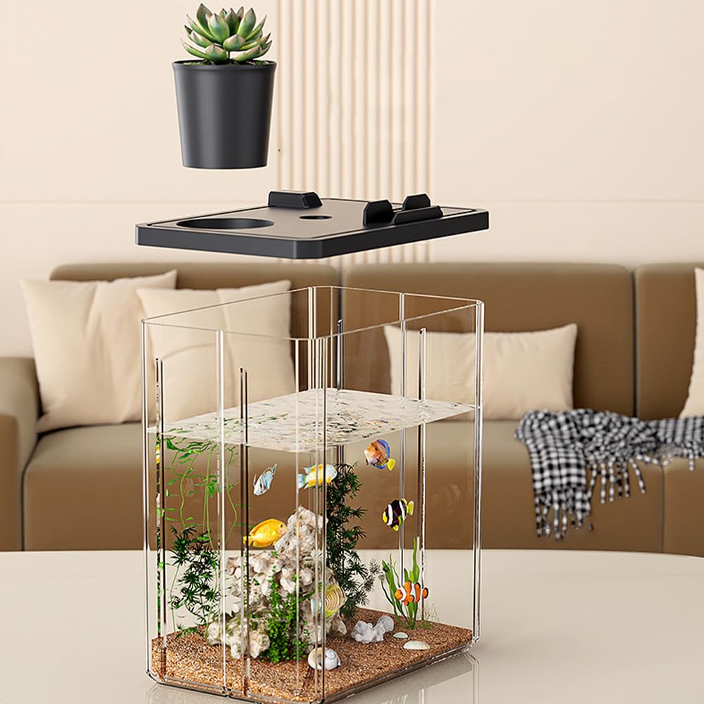 Kit di avviamento per mini acquario Garvee in acrilico con pompa e luce LED, trasparente, per gamberetti e piccoli pesci, decorazione da tavolo