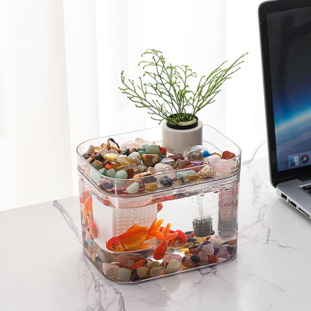 Garvee Acquario piccolo trasparente con pompa ad aria USB, scatola di riproduzione, acquario ecologico per soggiorno, ufficio domestico, decorazione da scrivania, 16 x 12 cm, trasparente
