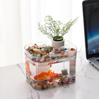 Garvee Acquario piccolo trasparente con pompa ad aria USB, scatola di riproduzione, acquario ecologico per soggiorno, ufficio domestico, decorazione da scrivania, 16 x 12 cm, trasparente
