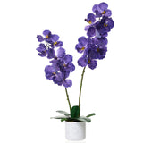 Garvee Fiori Artificiali Orchidea 80 cm 2 Pezzi con Vaso Bianco per Interni Soggiorno Ufficio Camera, Realistici, Poliestere e PEVA - Viola