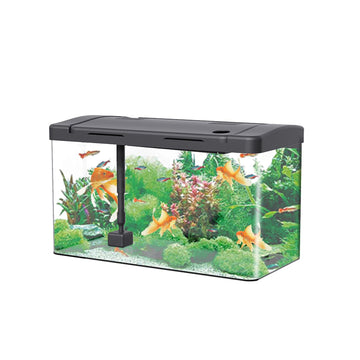 Kit di base per acquario Garvee con filtro e apporto di ossigeno, acrilico, mini rettangolare, decorazione da tavolo per gamberetti e guppy, illuminazione a LED