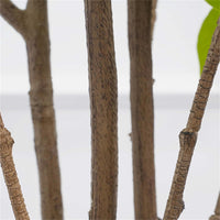 Albero di gelsomino artificiale Garvee da 5 piedi con design piangente, vero tocco, bianco seta con vaso per soggiorno, ufficio