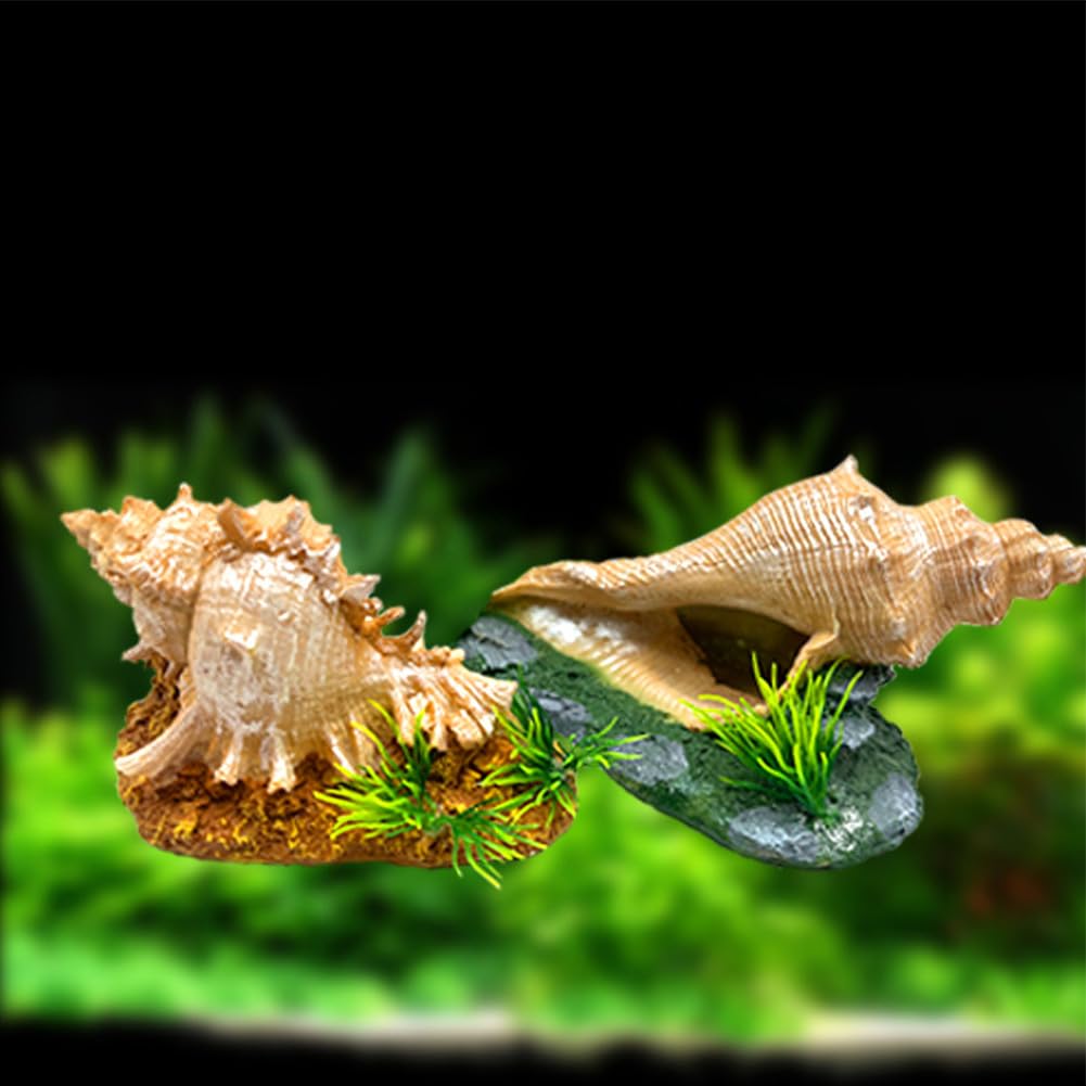 Garvee Decorazione a forma di conchiglia per acquario bianca rotonda – Decorazione realistica in resina per acquario e terrario – Rifugio sicuro per pesci, gamberetti e paguri