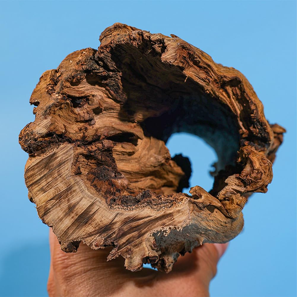 Grotta decorativa per acquario Garvee, grotta naturale per la deposizione delle uova, realizzata in tronco d'albero, per lucertole, tartarughe e gamberetti