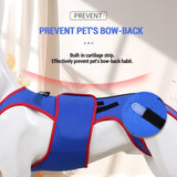 Garvee Fascia Lombare per Cani Regolabile Supporto Ortopedico per Artrite IVDD Blu XL 48 cm Uso Quotidiano Terapia
